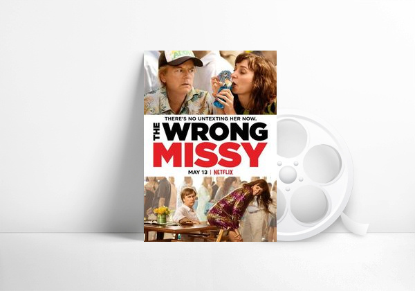 Filme The wrong Missy