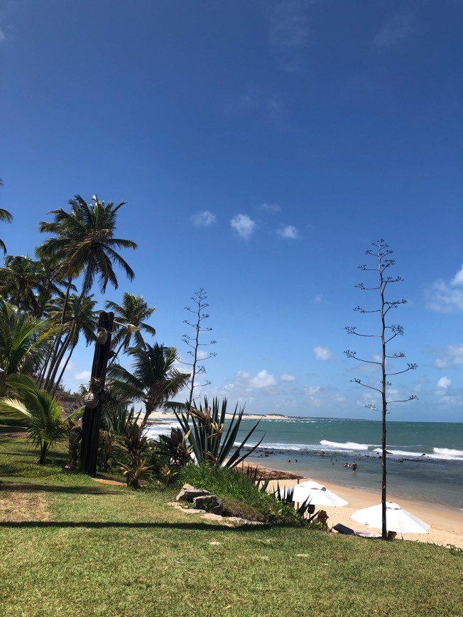 Lugar Tibau do Sul