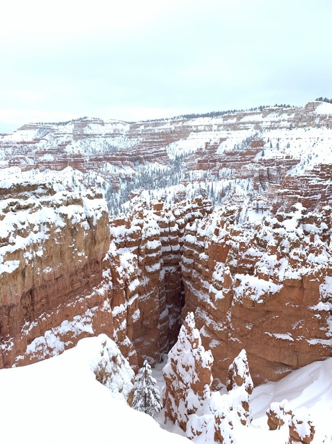 Lugar Arizona