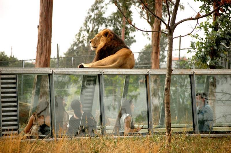 Lugar ZOO Santo Inácio