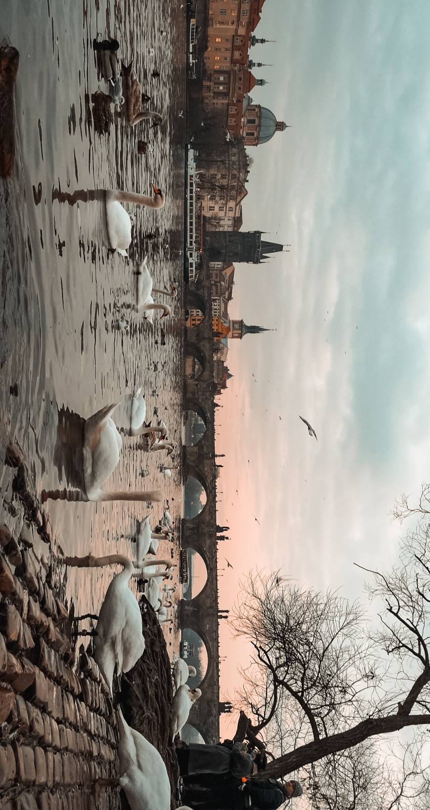 Place Charles Bridge