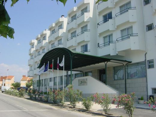 Hotel Nelas Parq