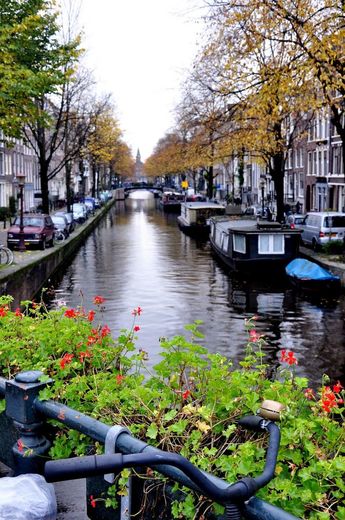 Canales de Ámsterdam