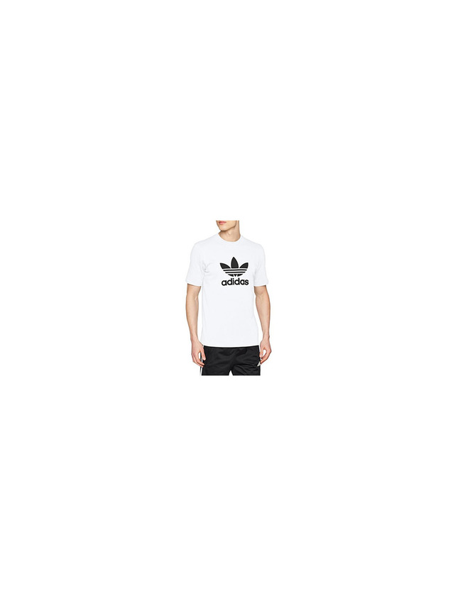 Social adidas Trefoil T-Shirt T-Shirt
