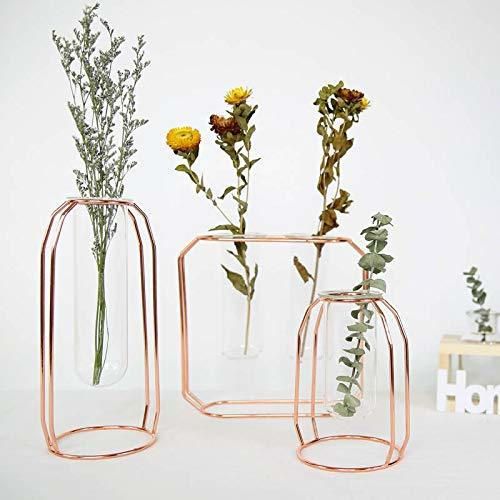 Simple Modern Metal Flower Stand Test Tube Transparent Glass Vase Creative Home