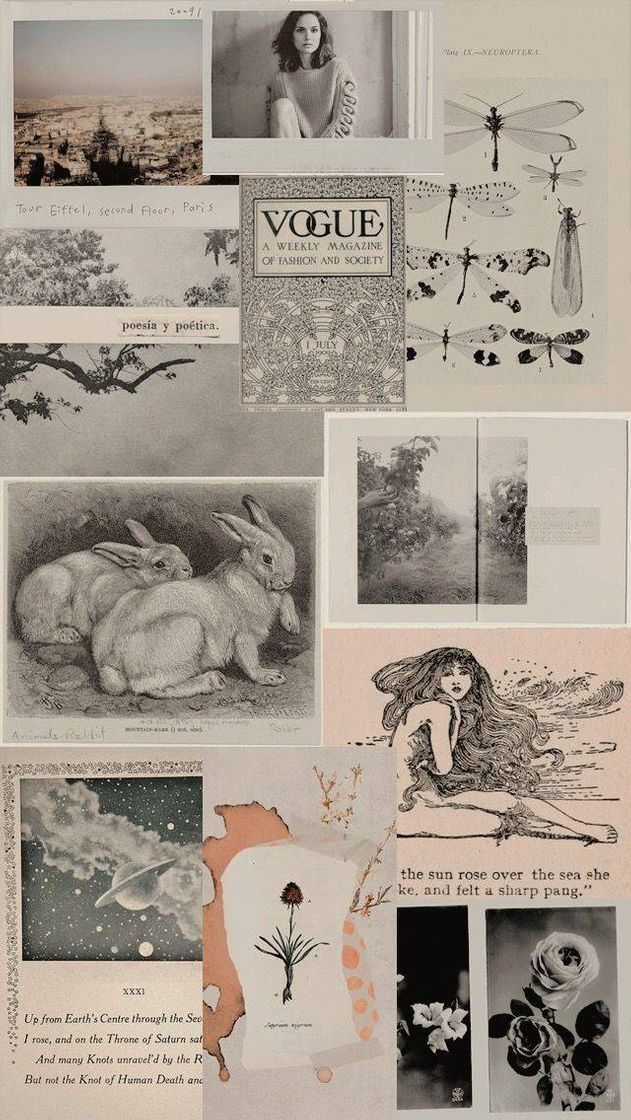 Social wallpaper