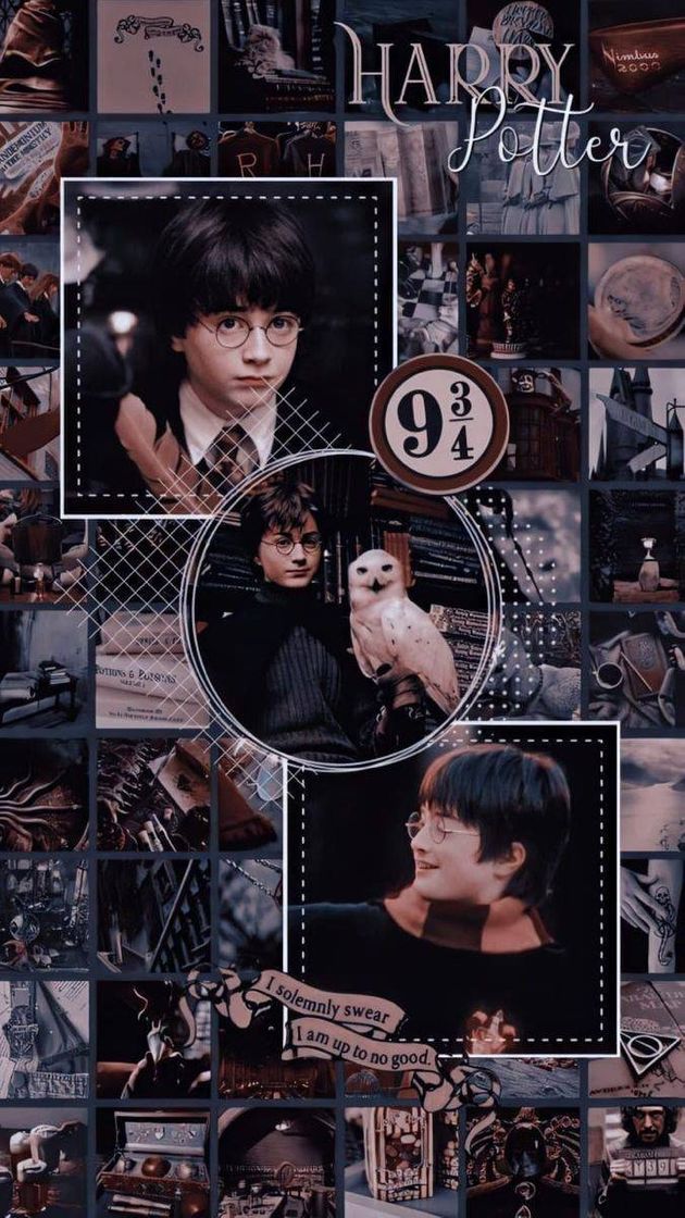 Social Harry Potter 