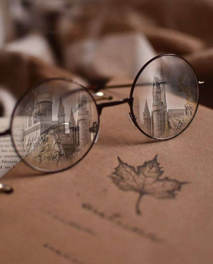 Social Harry Potter 