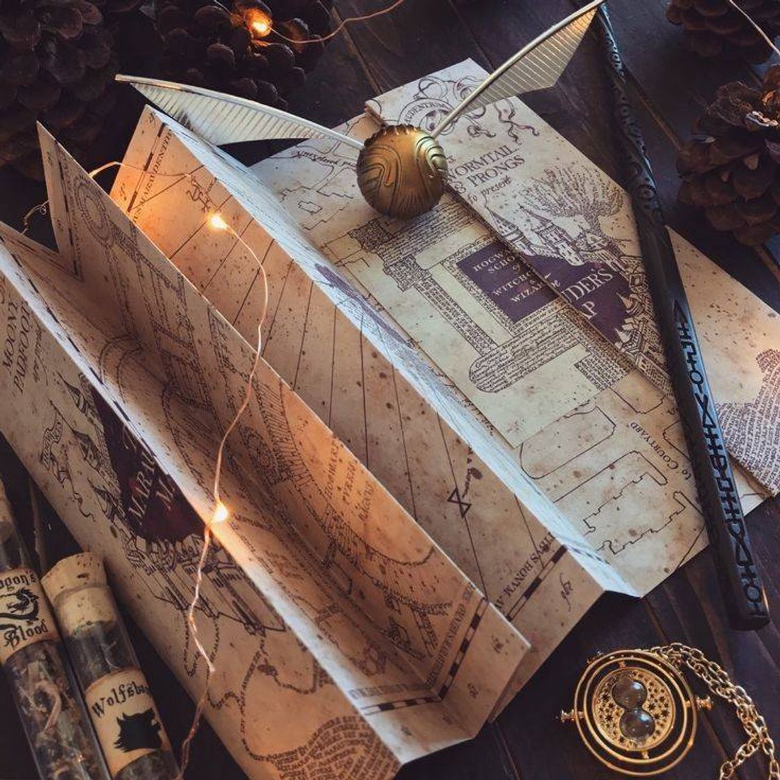 Social Harry Potter 