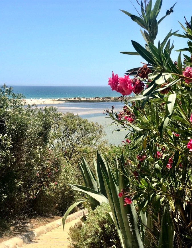 Lugar Praia de Cacela Velha