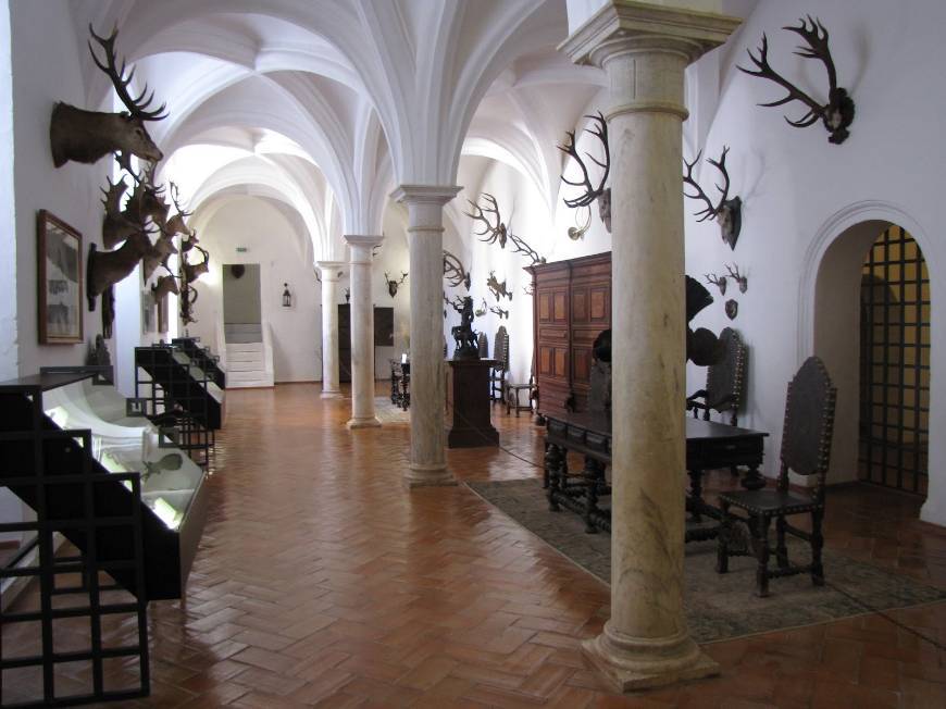 Places Museu da Caça