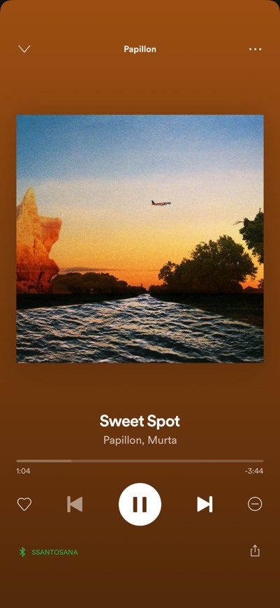 Music Sweet spot - Papillon 