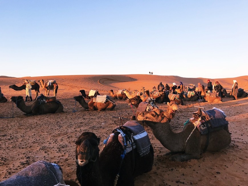 Place Sahara Desert