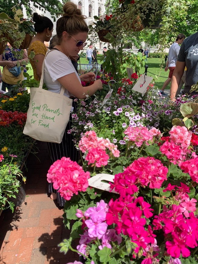 Moda Dane County Farmers' Market