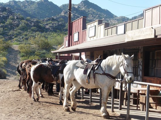 Lugar Ponderosa Stables Inc