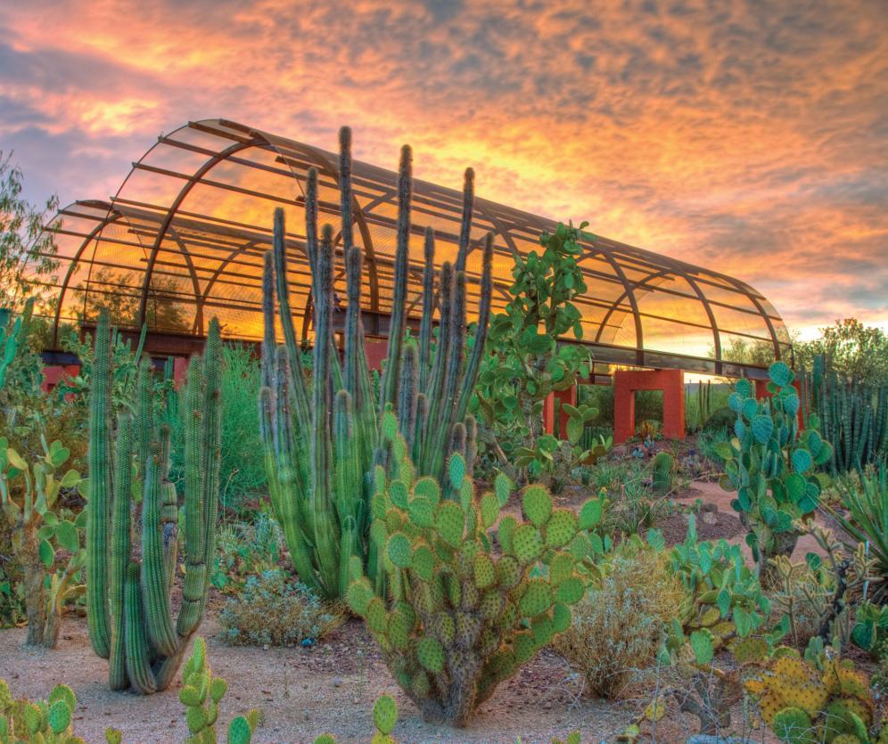 Lugar Desert Botanical Garden