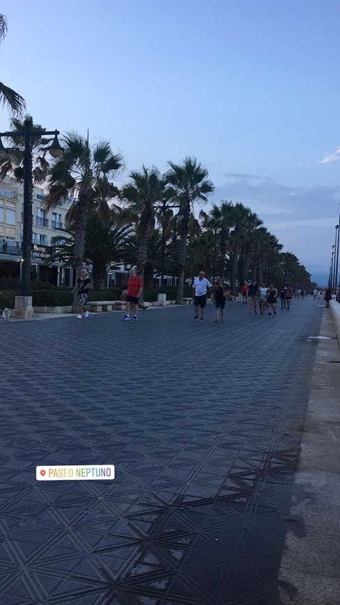 Avenida Neptuno