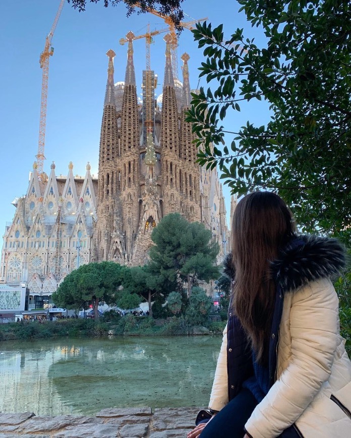 Place Basílica Sagrada Familia