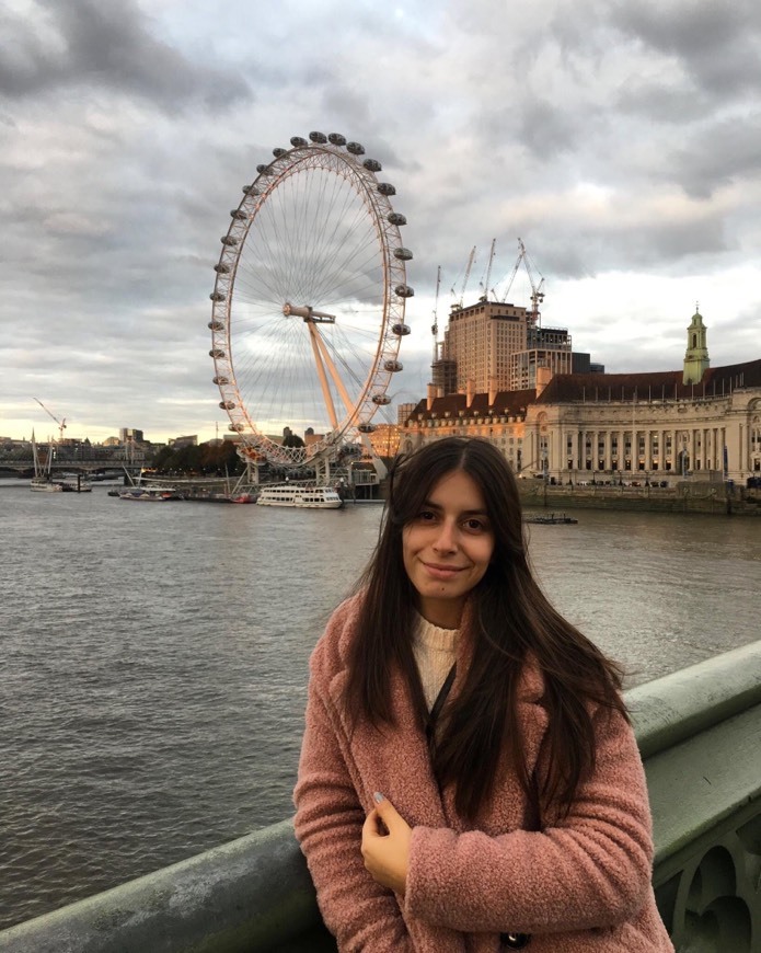 Place London Eye