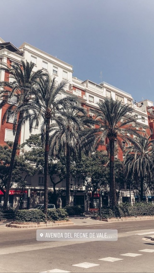 Place Avenida del Reino de Valencia