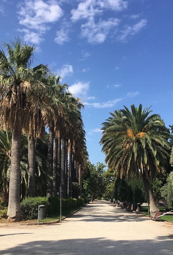 Place Jardines del Real