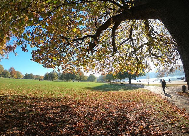 Place Hyde Park