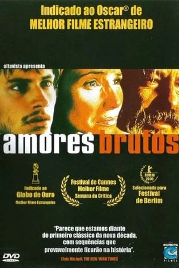 Película Amores perros