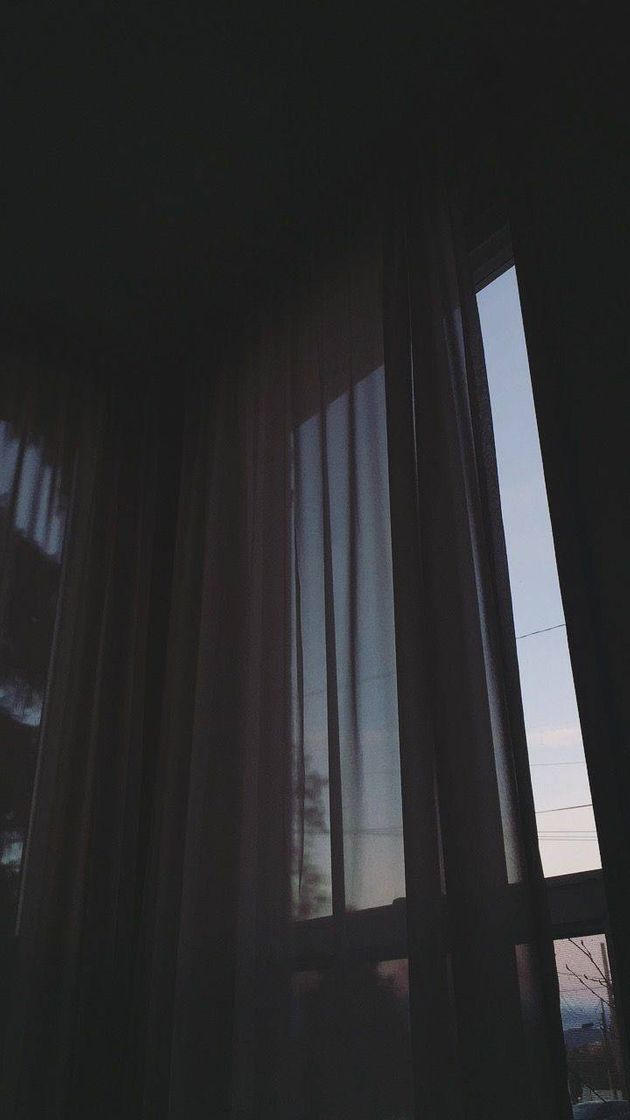 Social asthetic