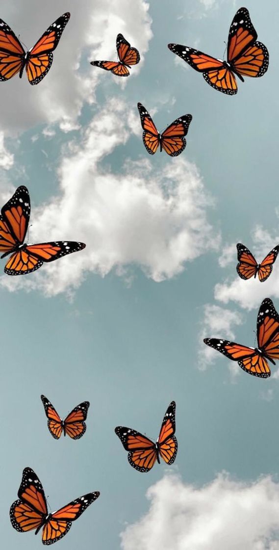 Moda Papel de parede de borboleta laranjada🦋🧡