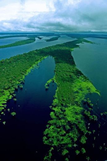 Amazonia