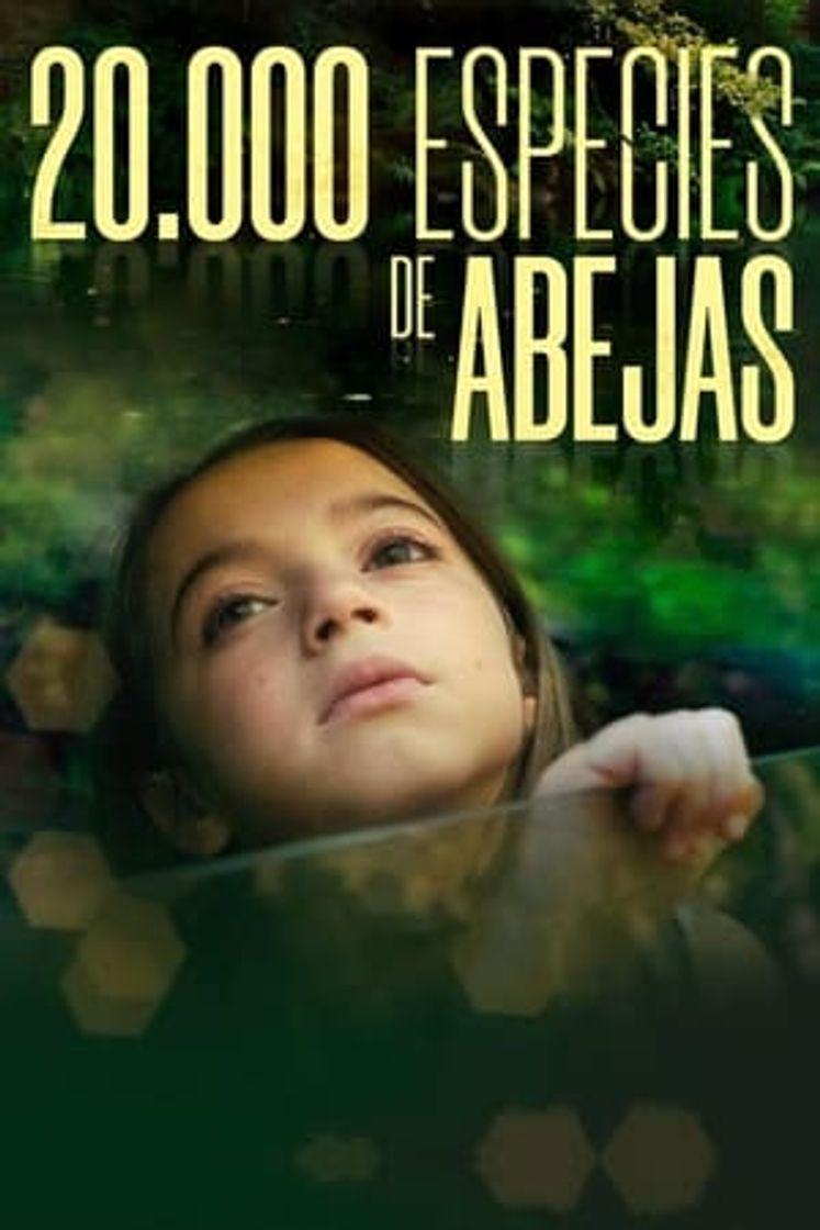 Movie 20.000 especies de abejas