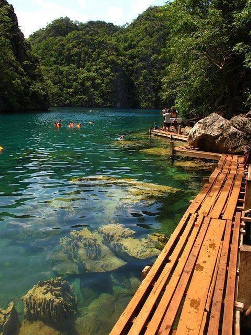 Social A Beleza da natureza nos vários cantos do mundo. 