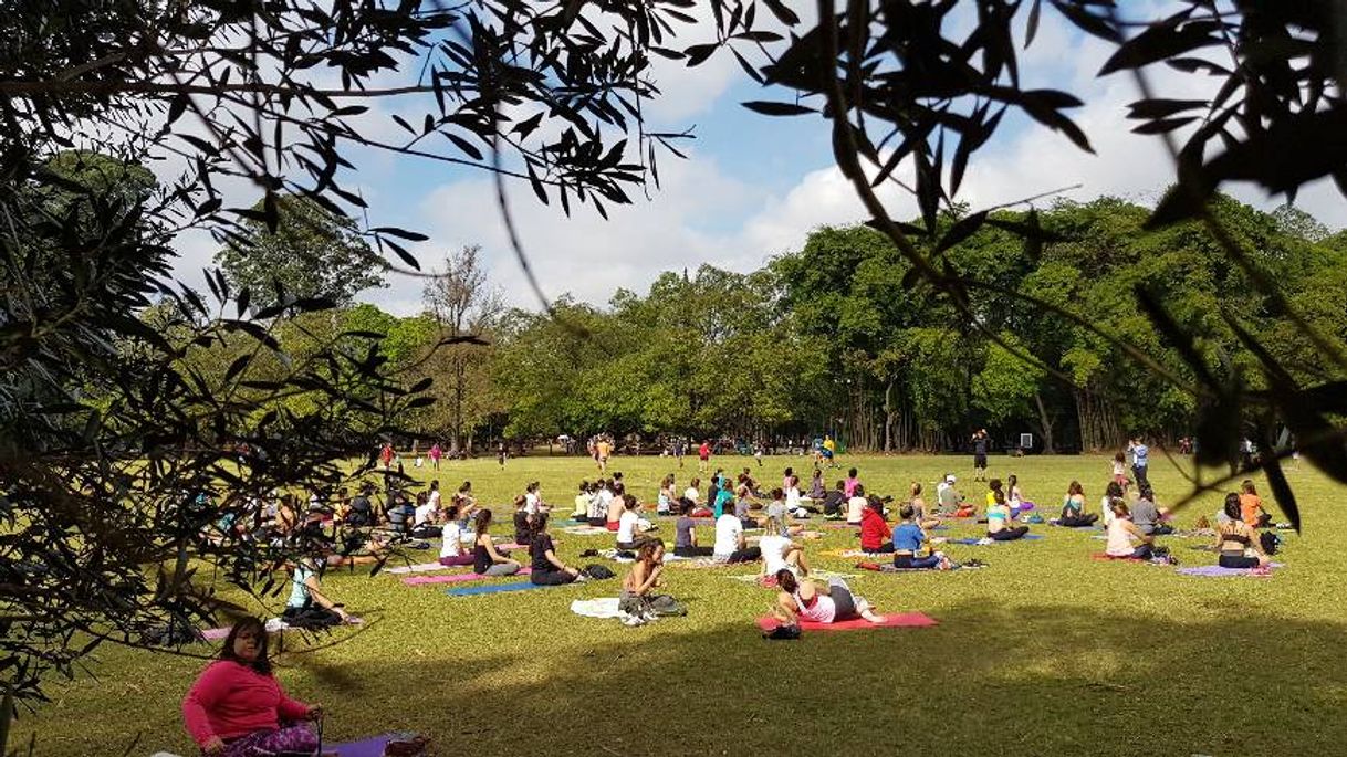 Lugar Parque Ibirapuera