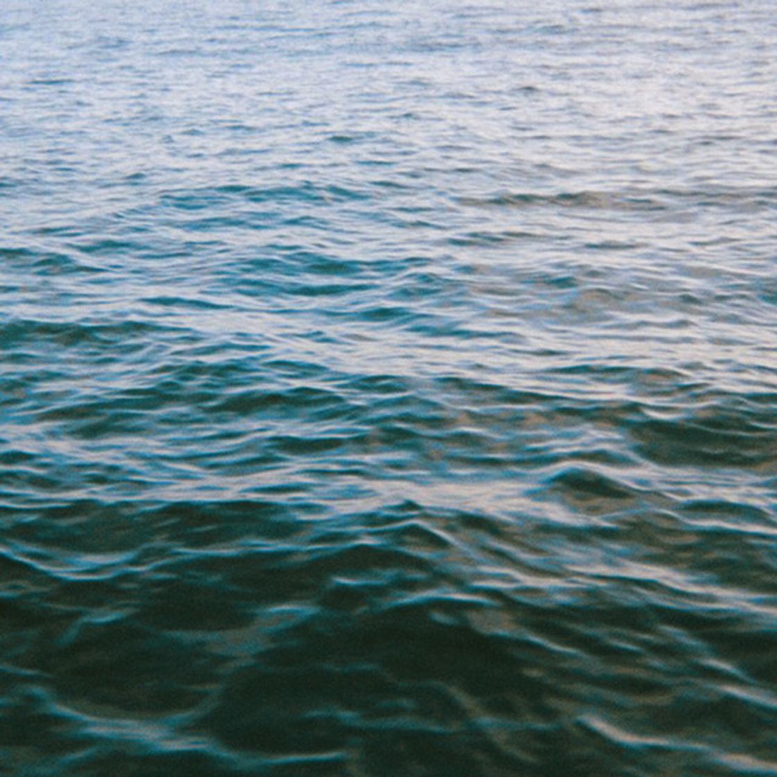 Music Waves