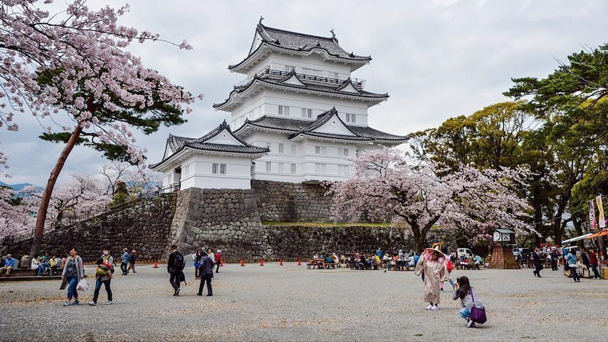 Lugar Castillo Odawara