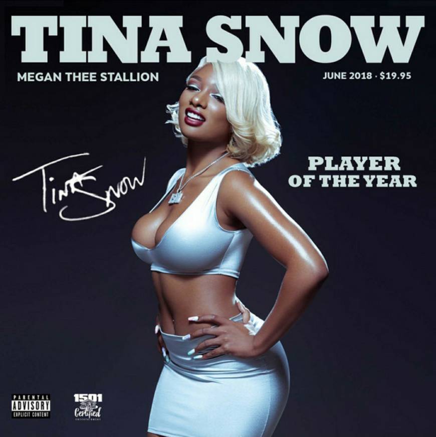 Canción Megan Thee Stallion - Tina Snow 