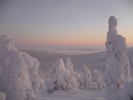 Lappi