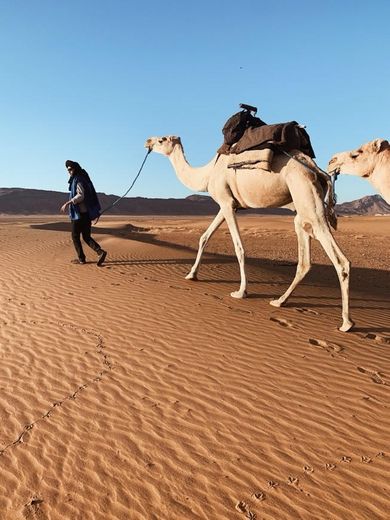 Zagora Desert Camp