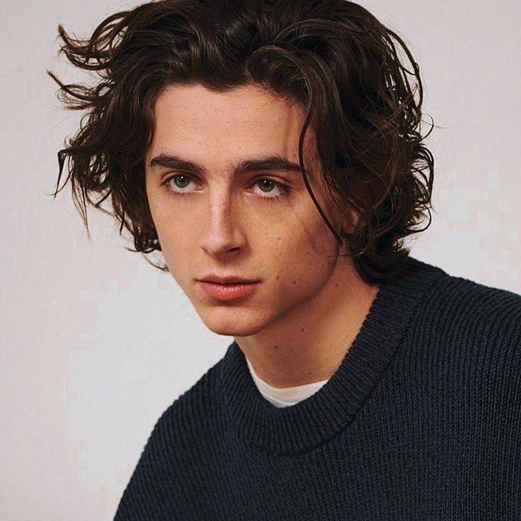 Fashion Timothée Chalamet