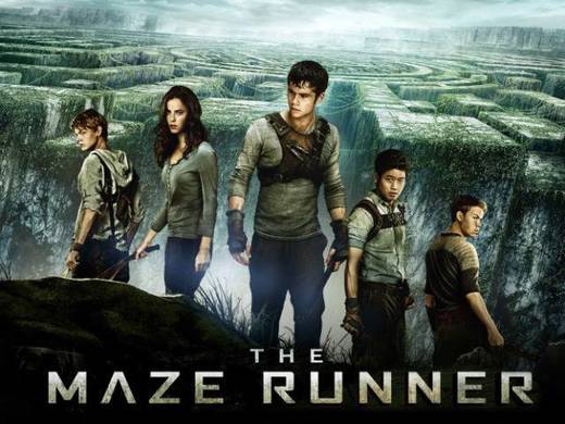 The Maze Runner