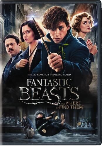 Movie Animales fantásticos y dónde encontrarlos