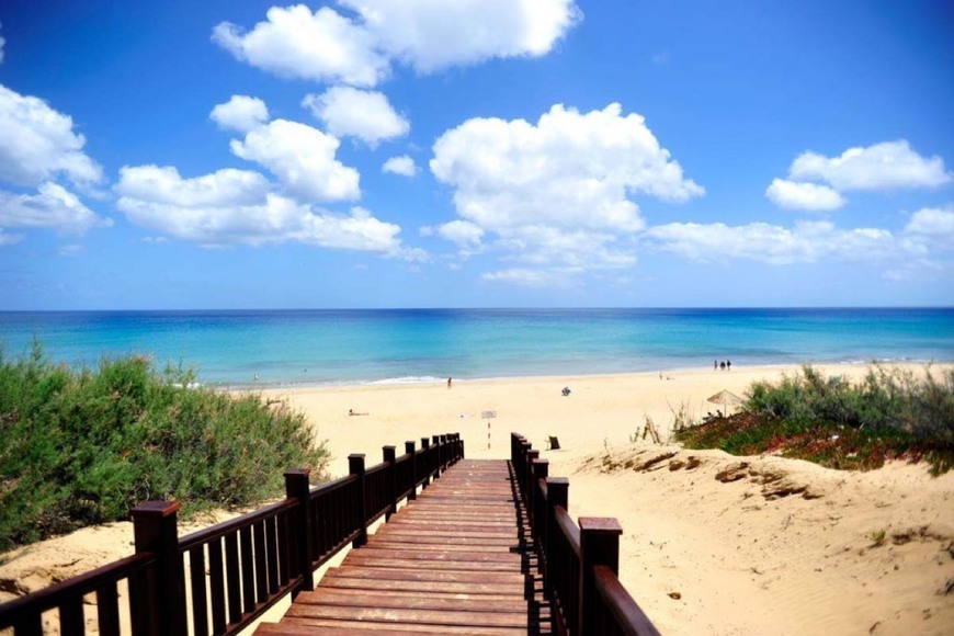 Lugar Praia do Porto Santo