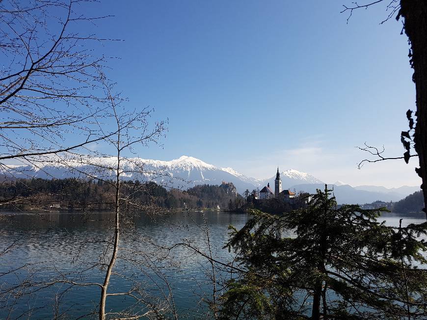 Lugar Lago Bled