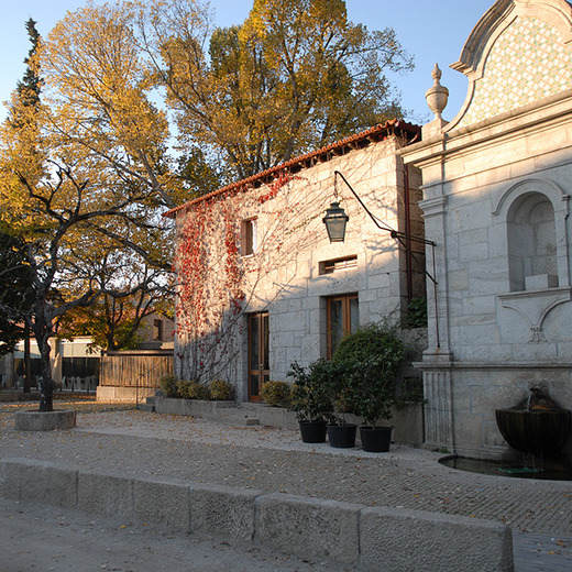 Quinta Do Barreiro