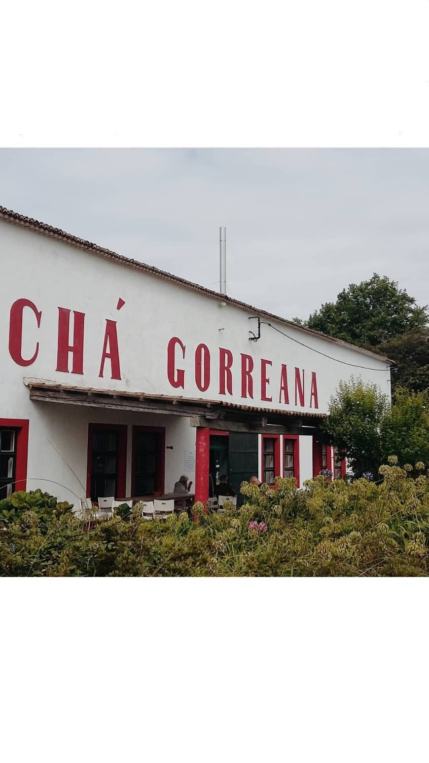 Place Chá Gorreana