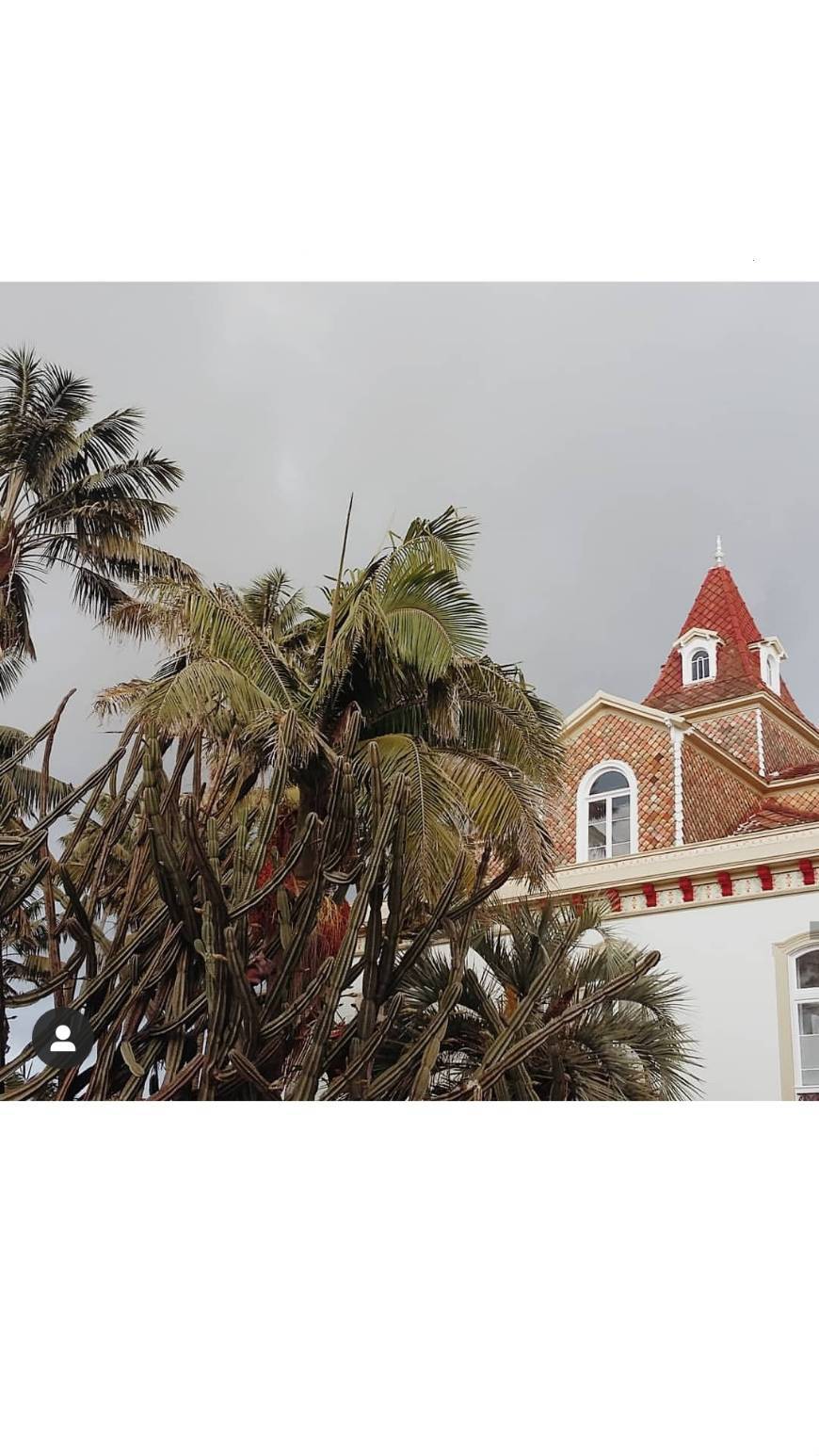 Lugar Casa das Palmeiras - Charming House