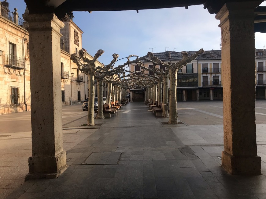 Place El Balcón de la Catedral