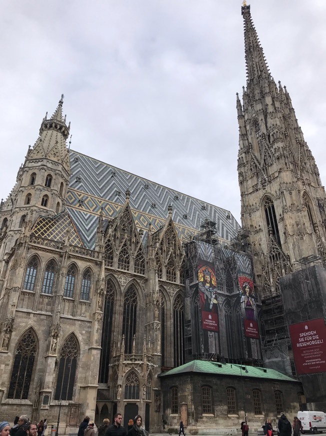 Lugar Catedral de Viena