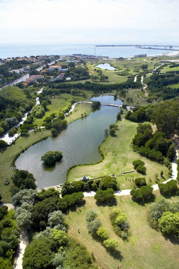 Lugar Parque da cidade do Porto