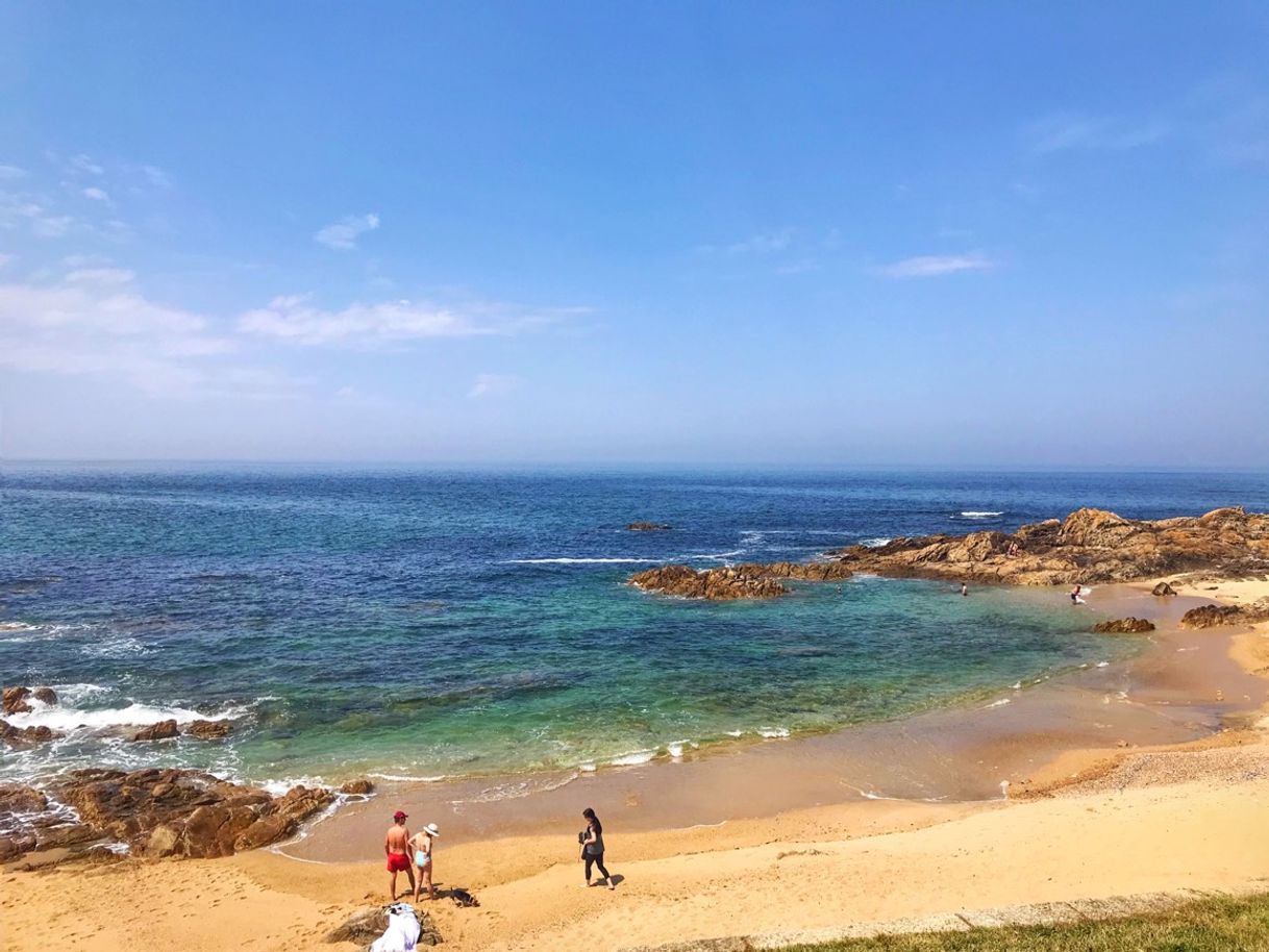 Restaurantes Leça da Palmeira